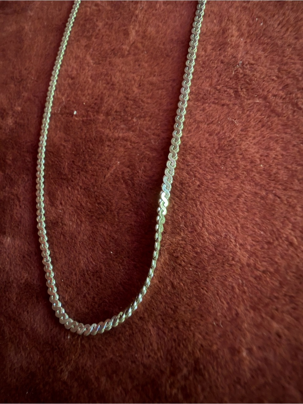 Classic Silver Rope Chain Necklace (15.5 inches)